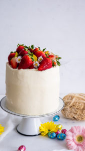 CARROT CAKE / LAYER CAKE